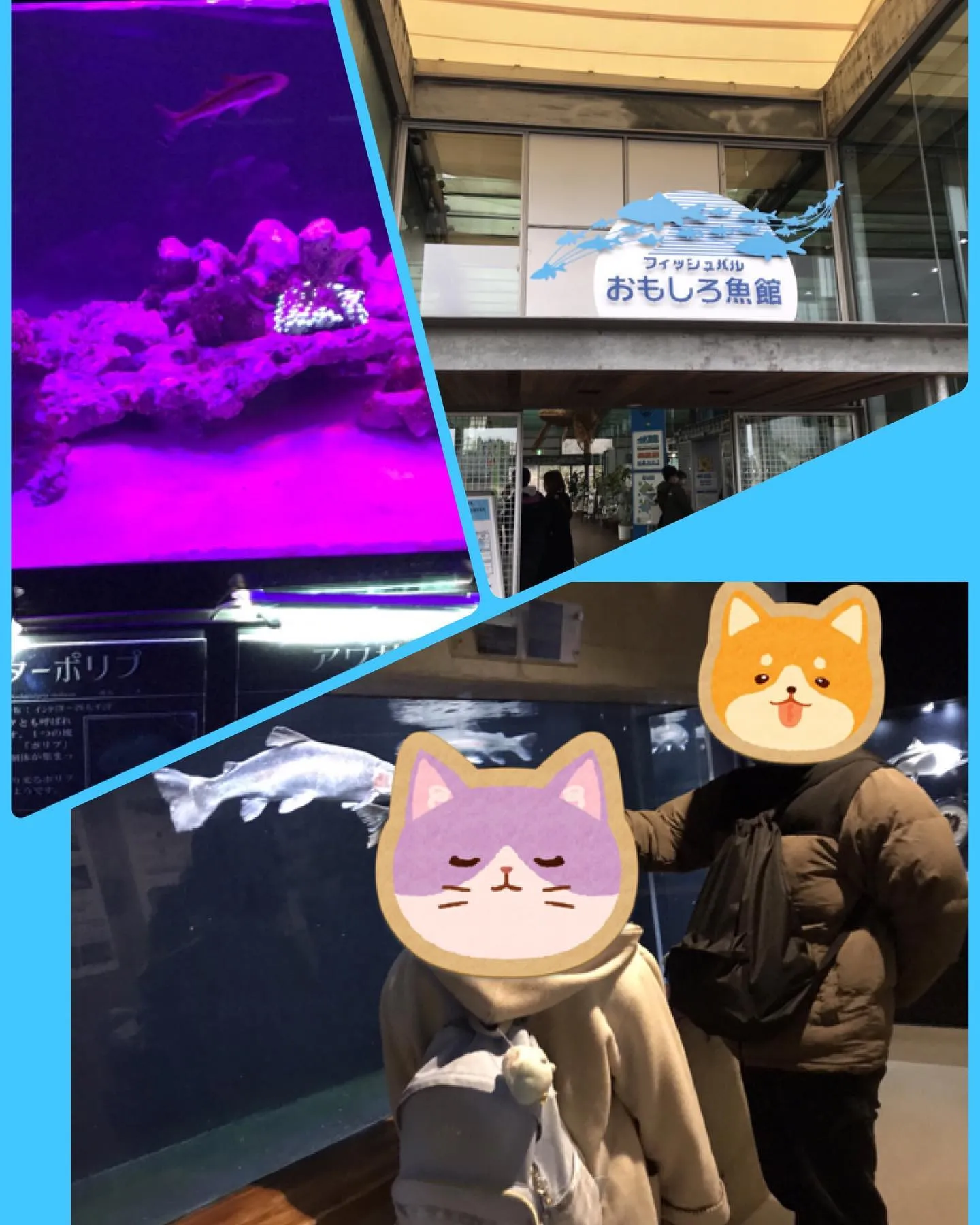 🐟久しぶりの水族館🐟